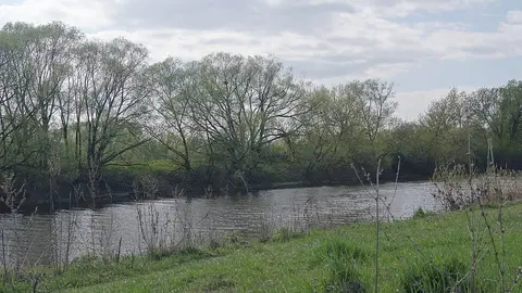 Криволучье