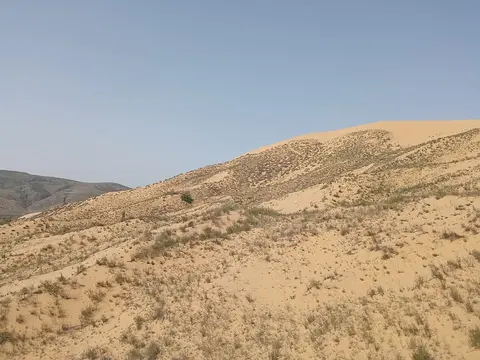 Бархан Сарыкум